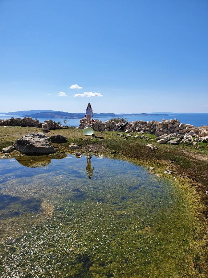 Villa Diny With Pool Pinezići エクステリア 写真