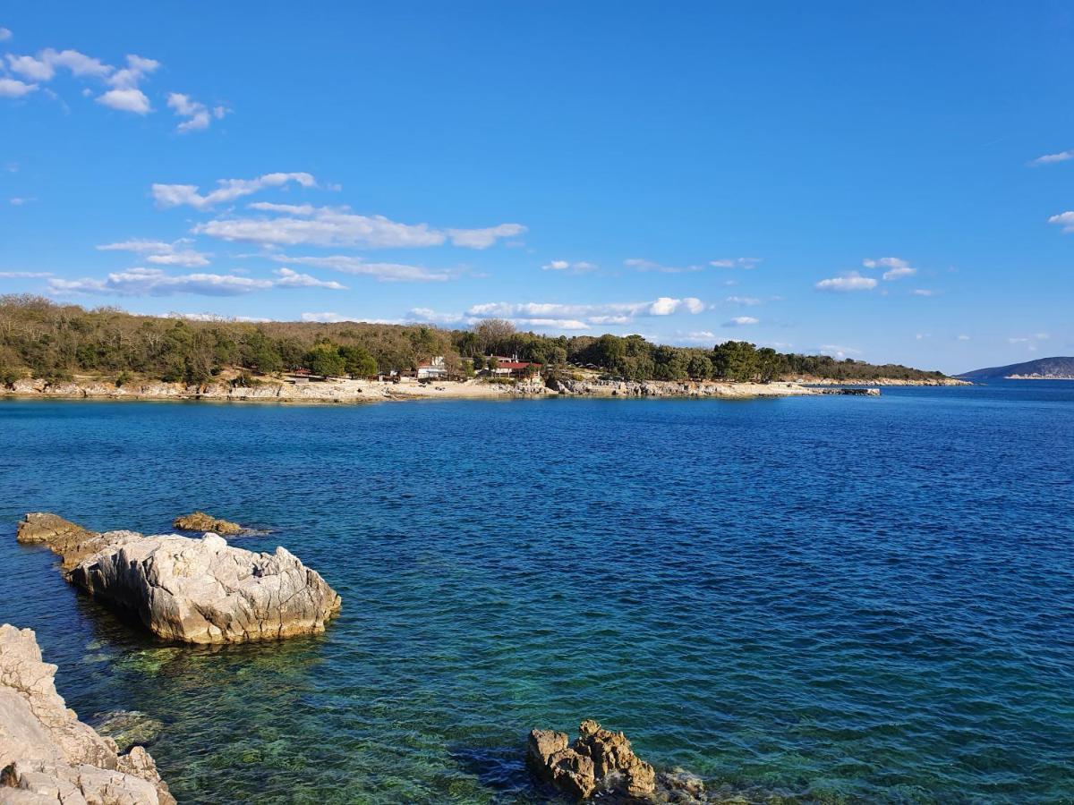 Villa Diny With Pool Pinezići エクステリア 写真