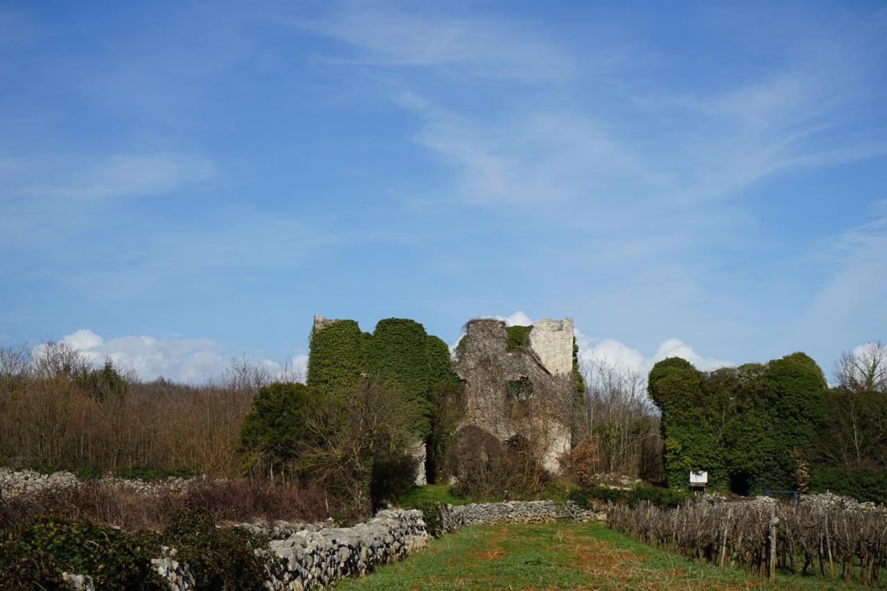 Villa Diny With Pool Pinezići エクステリア 写真