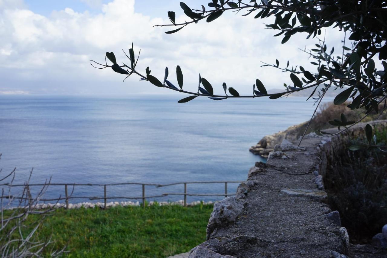 Villa Diny With Pool Pinezići エクステリア 写真